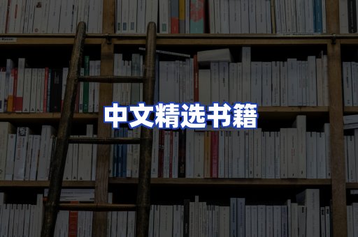 中文精选书籍